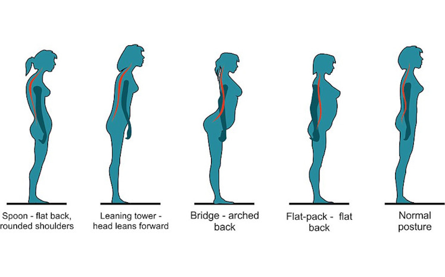 posture-infographic-article