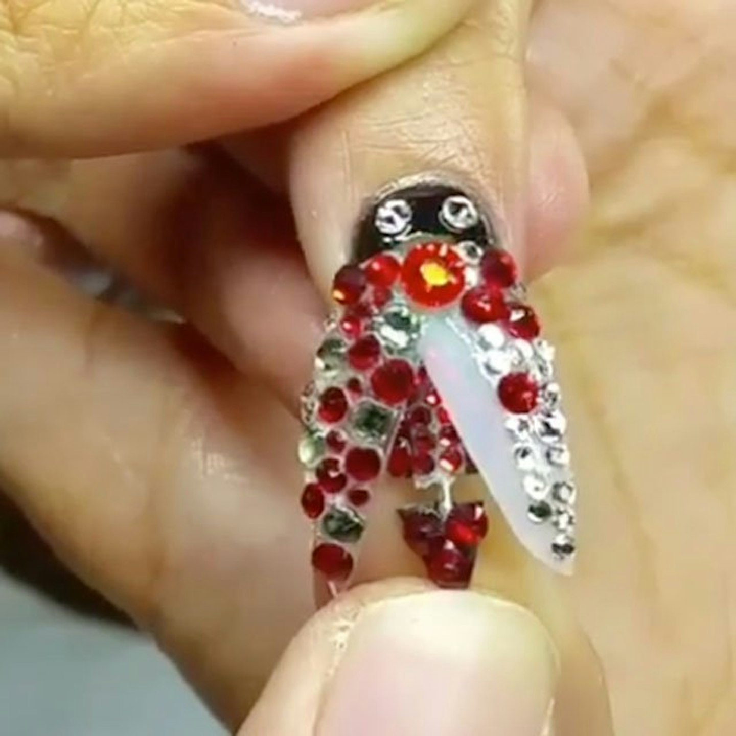 TonyLu-Ladybird-Robotic-Nails