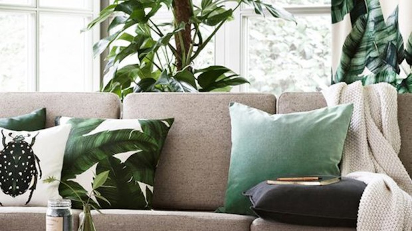 The Colour of 2017: Greenery. Here's how to greenify your home on the cheap.