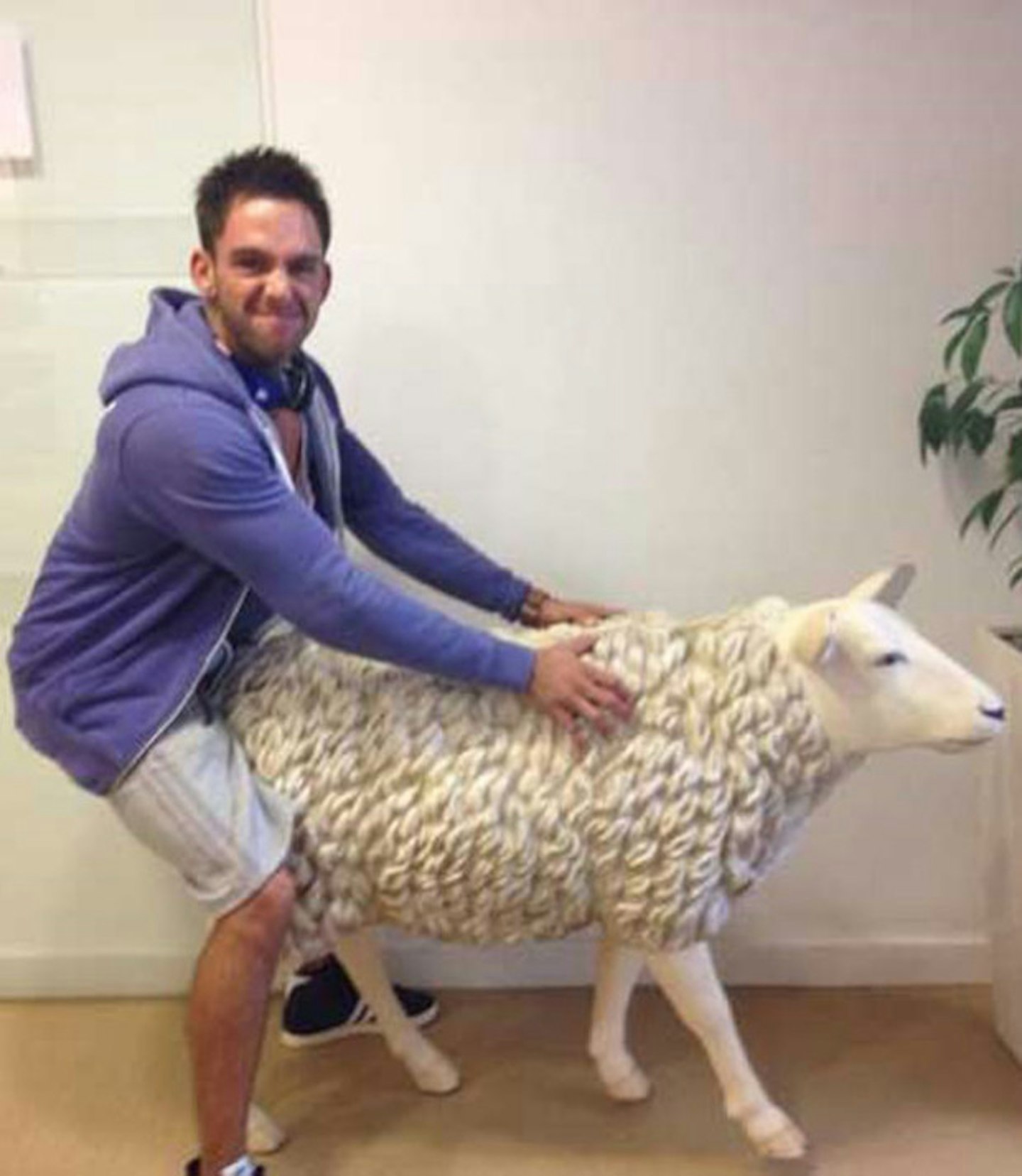 darren-chidgey-the-valleys-shags-sheep