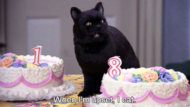 Salem The Cat Quotes Salem From Sabrina The Teenage Witch's Best Quotes | Grazia