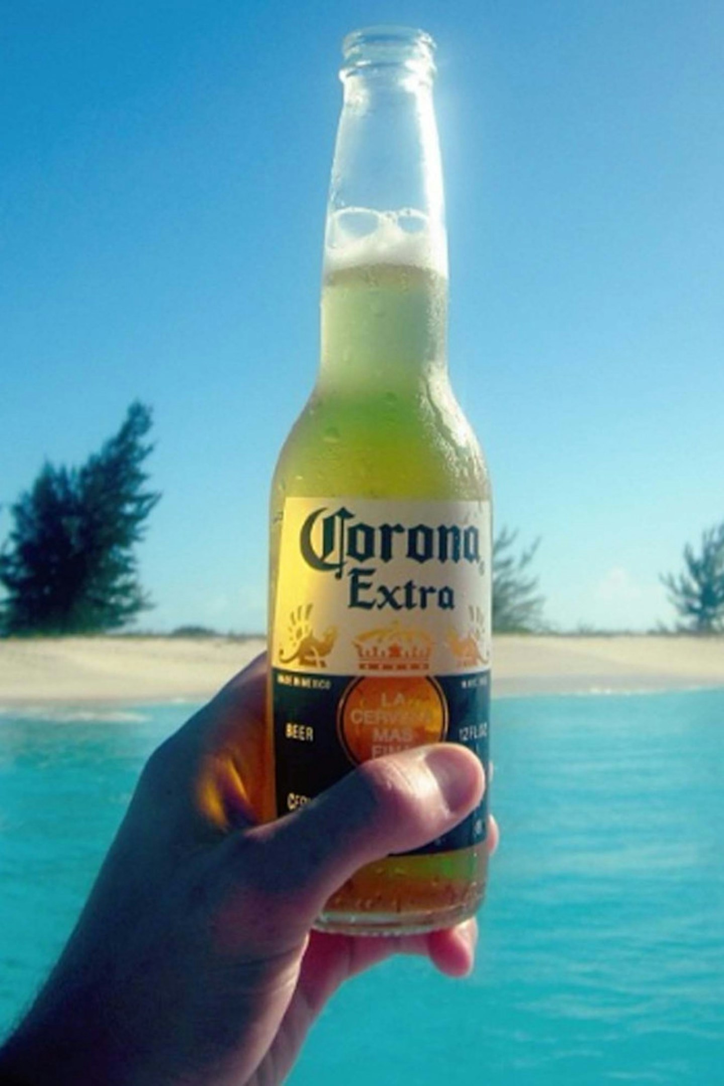 What's better than a Corona? A Corona in Turks & Caicos