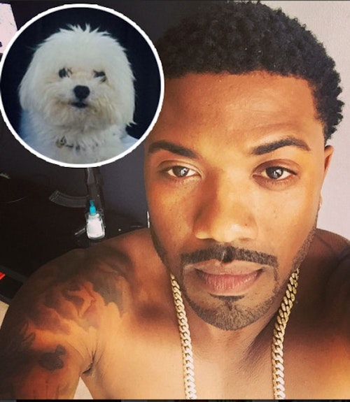 500px x 575px - Ray J is throwing a $30,000 birthday party for his dog | Entertainment |  Heat