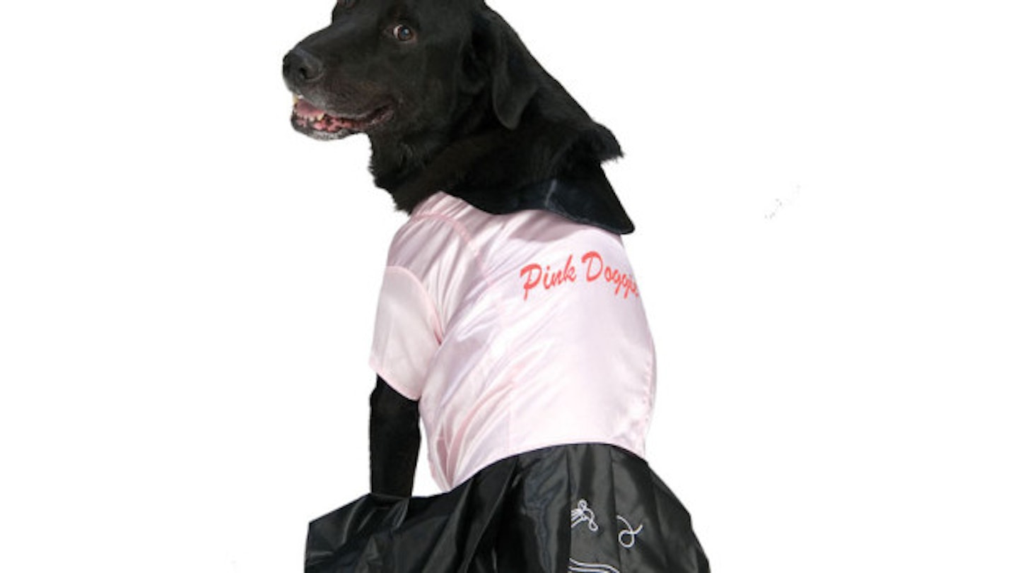50s Pink Doggie Dog's Costume