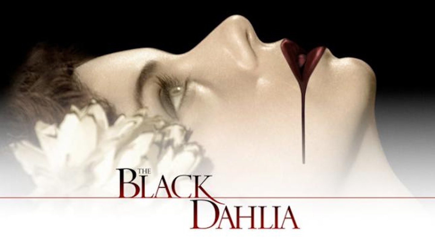 black-dahlia