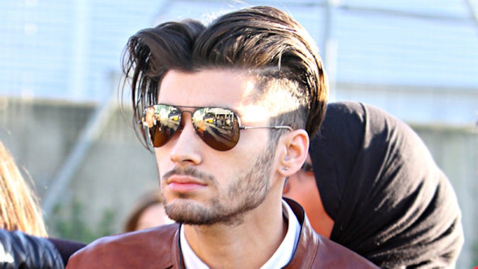 All The Things That Look Exactly Like Zayn Malik's Amazing Hair | Grazia