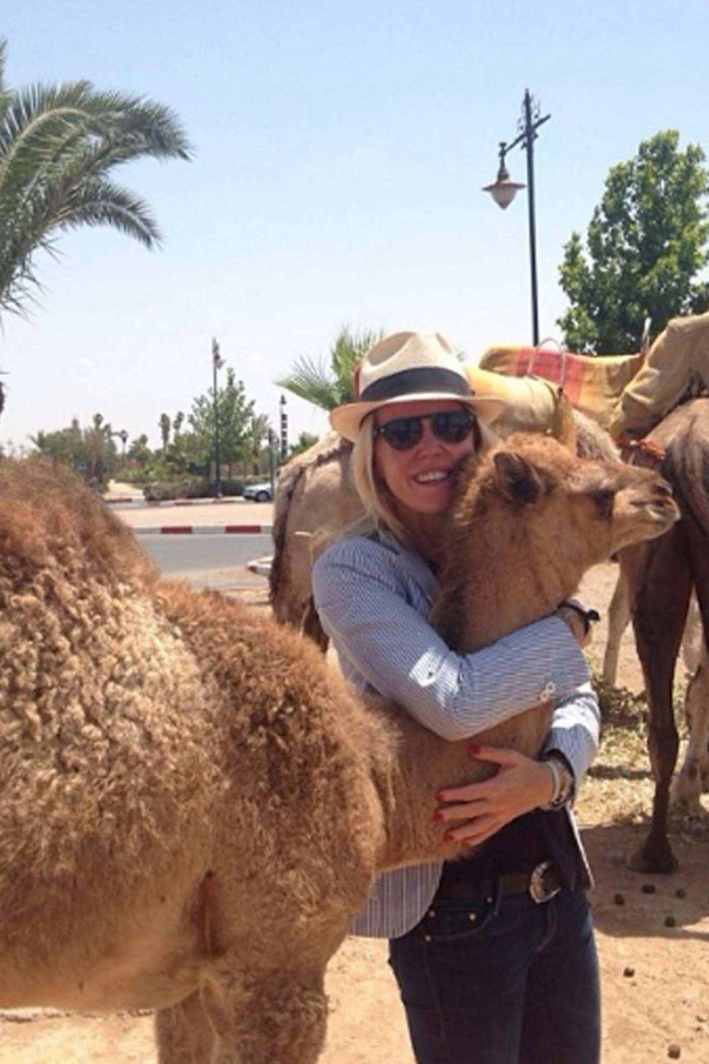 @alibambam: Fell in love with this baby!! #babycamel #marrakech #morocco #onegunranch