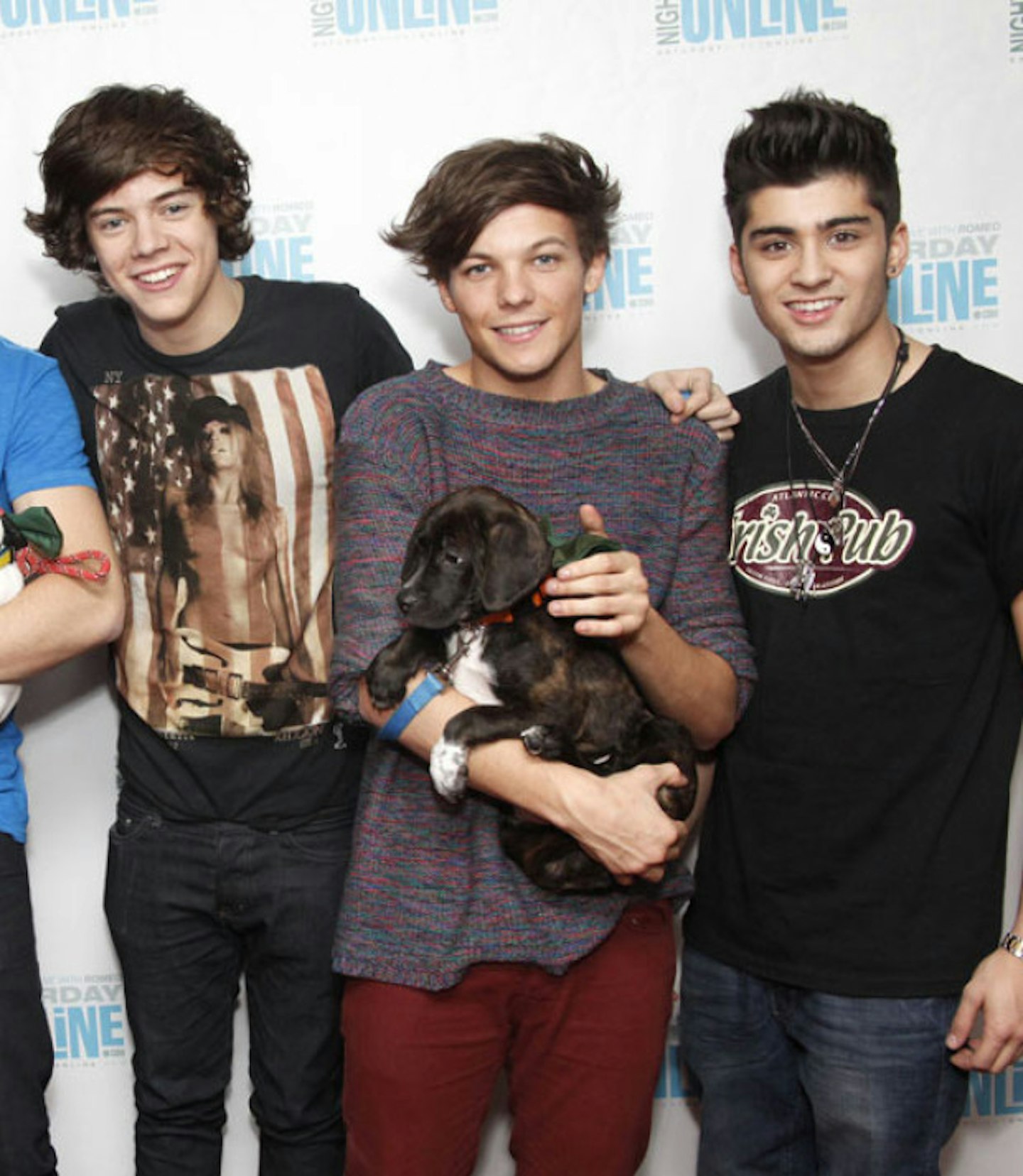 1d-dog