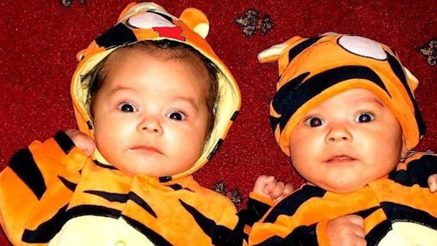 tigers