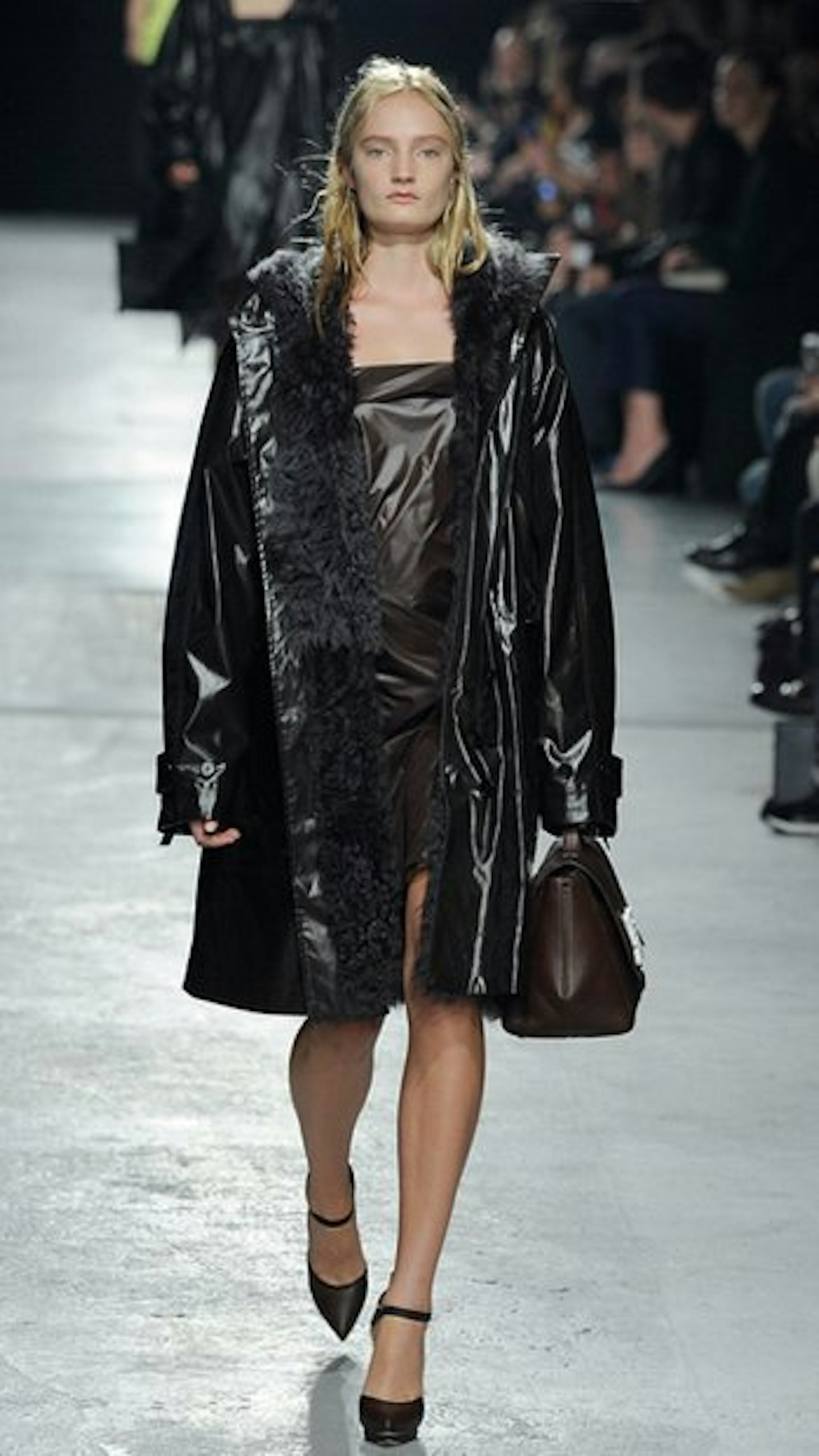The Shiny Parka
