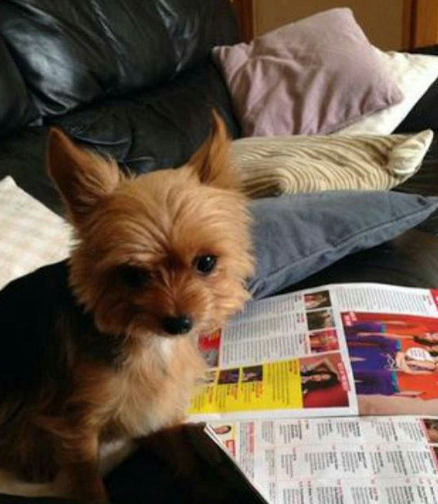 Macey Moo loves catching up with all the gossip from her FAVE magazine!