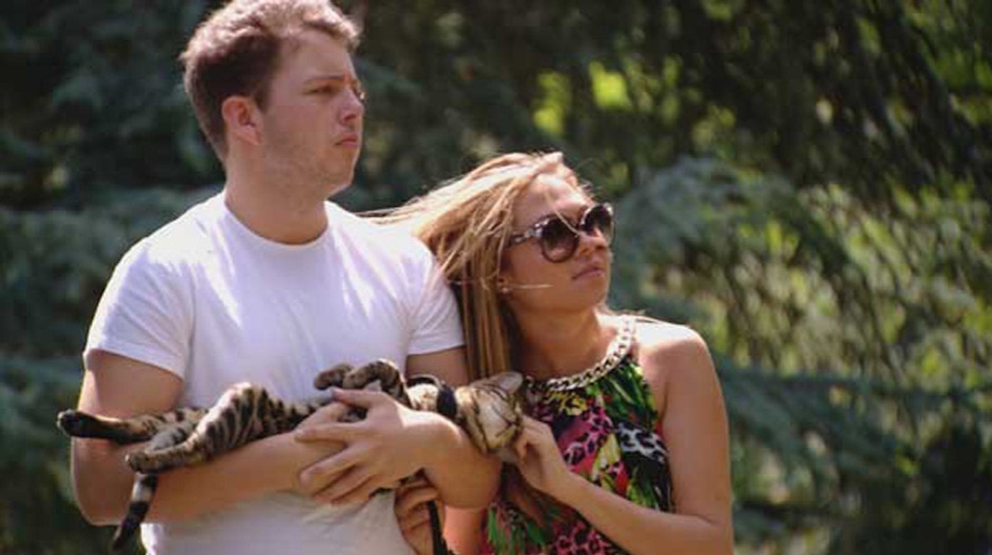 diags_fran_cat_main