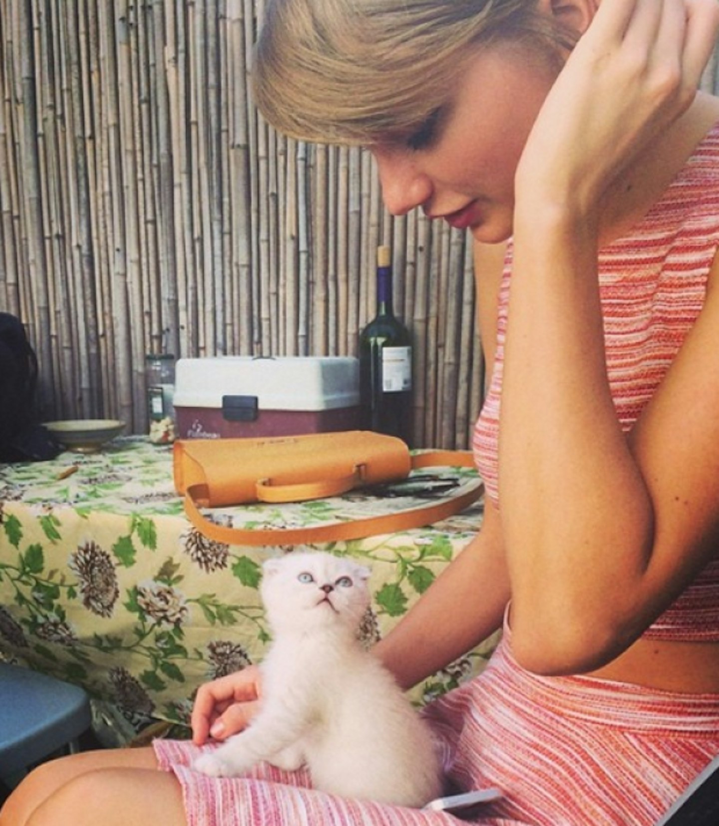She has a cute kitten called Olivia Benson
