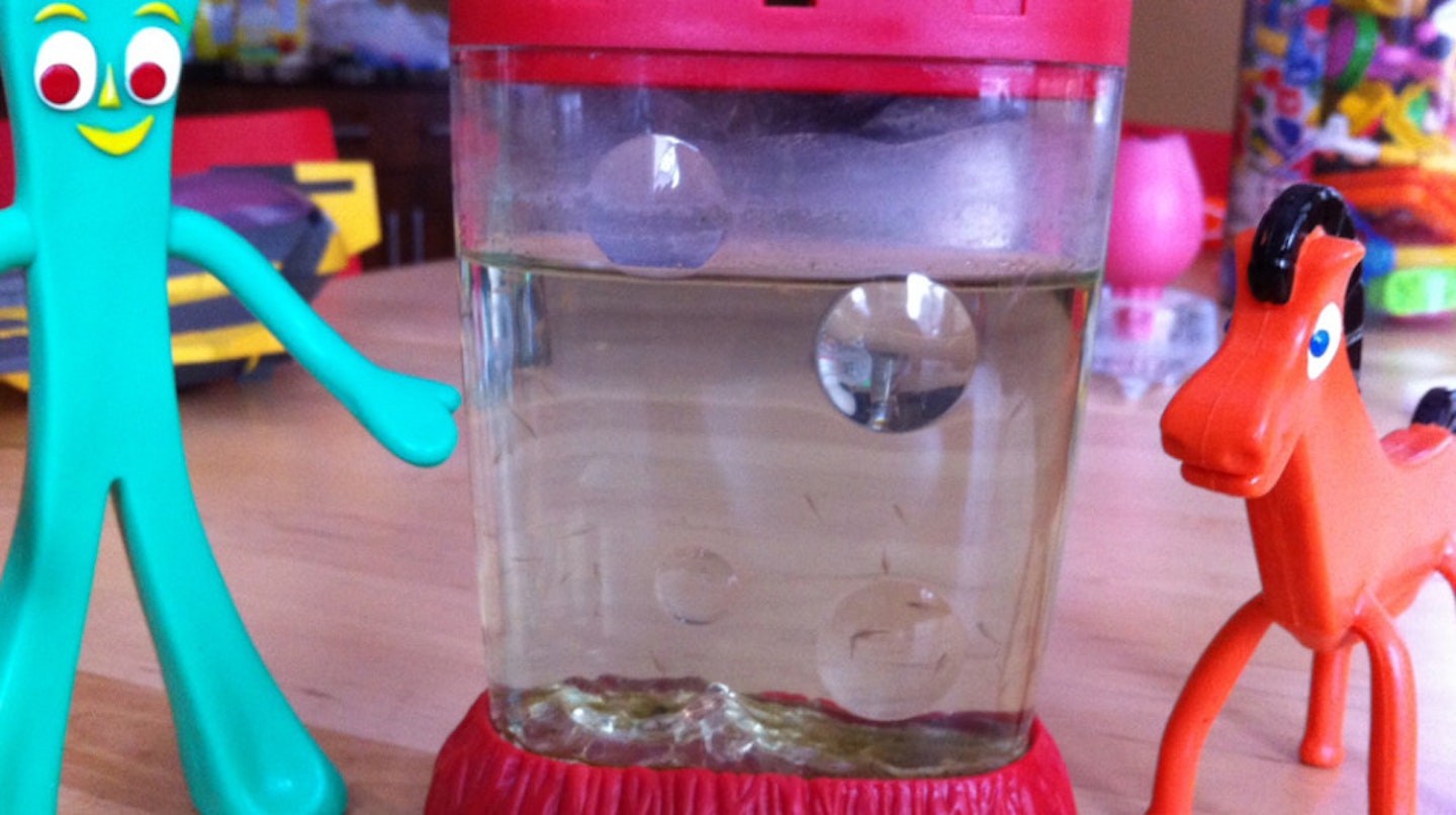 Sea Monkeys