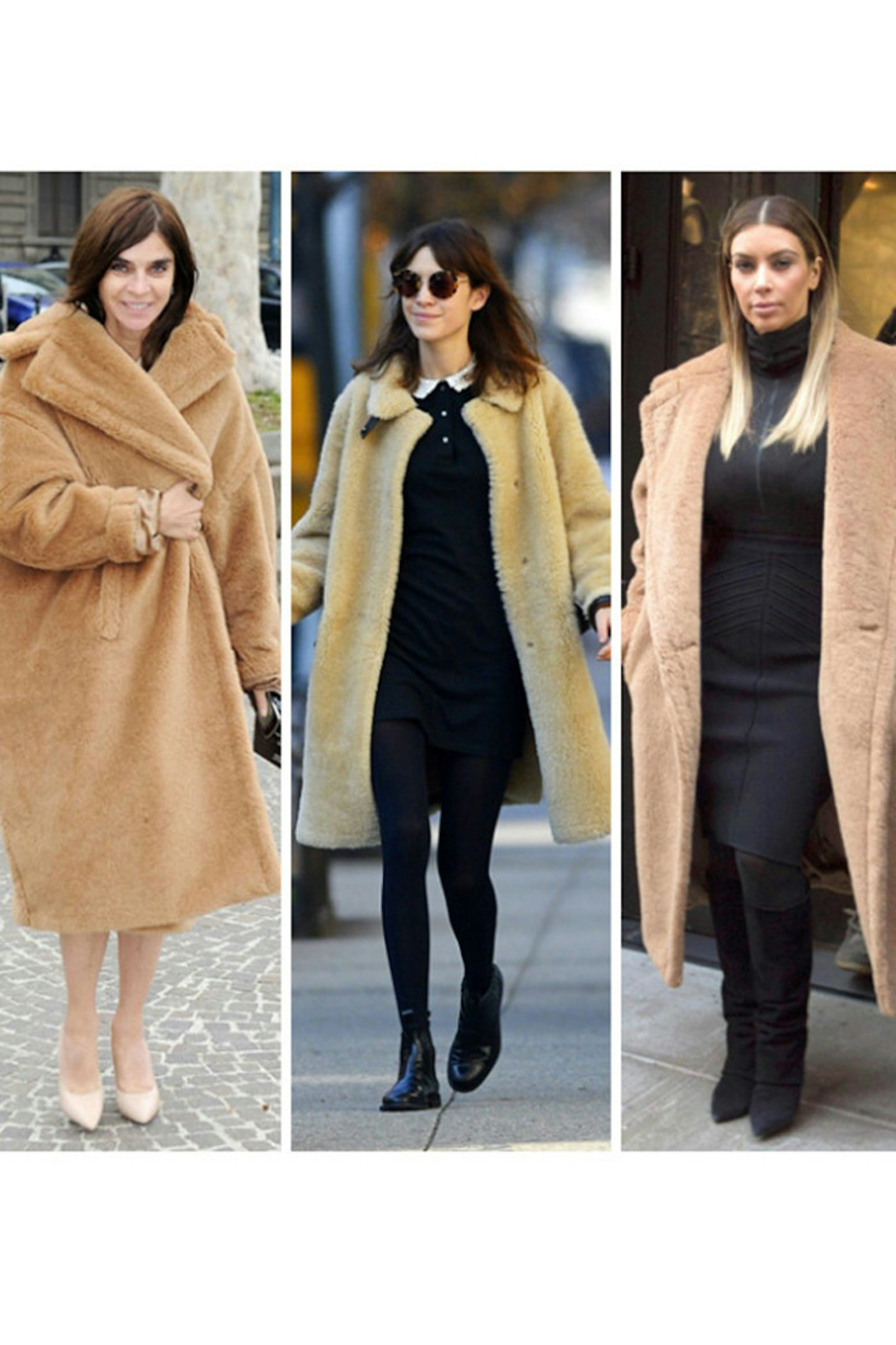 Teddy Bear Trend