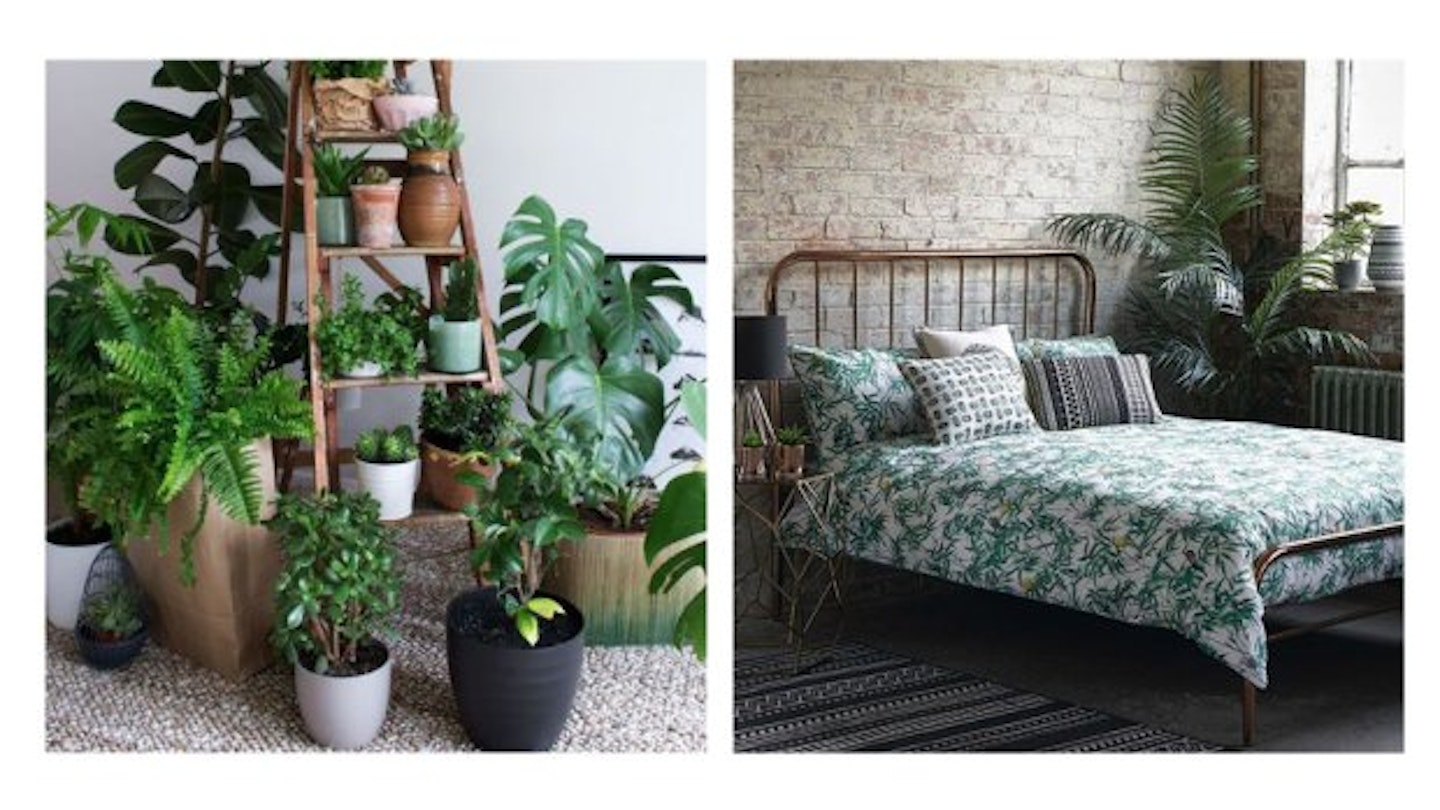 Here's How To Turn Your Home Into A Tropical Haven