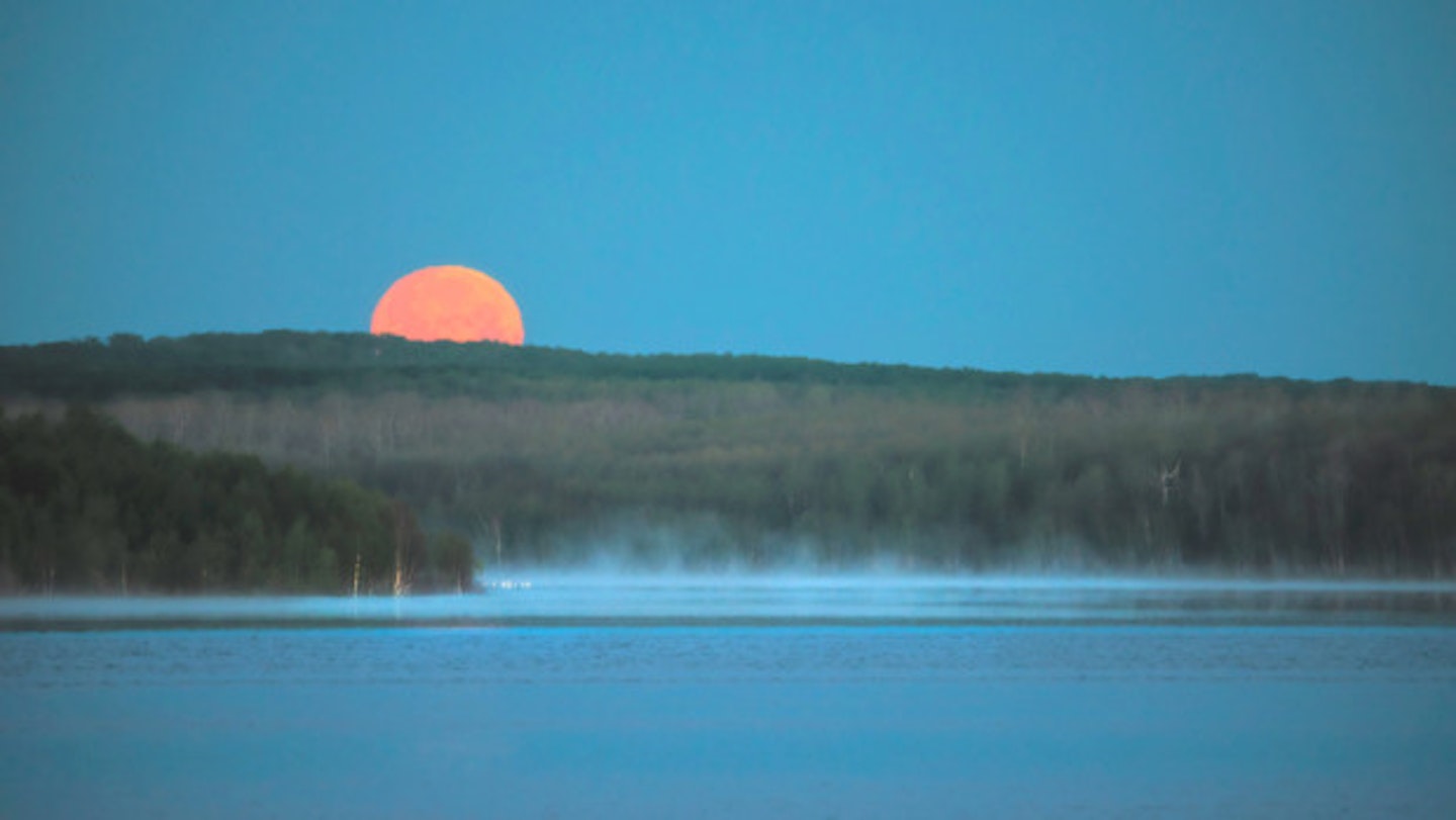 There Will Be A Strawberry Moon Tonight. Here’s What That Means.