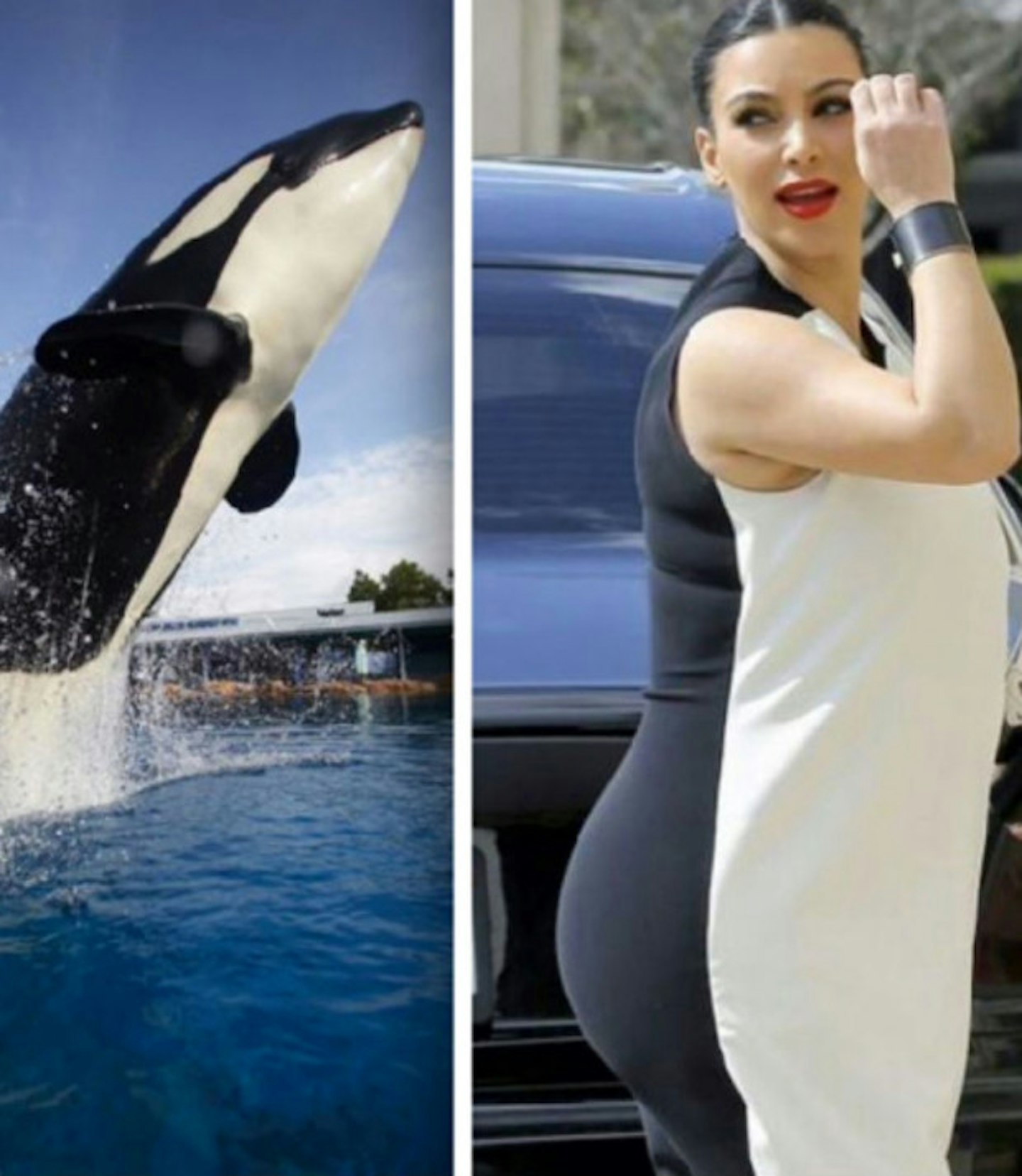 kim-kardashian-black-white-killer-whale-dress
