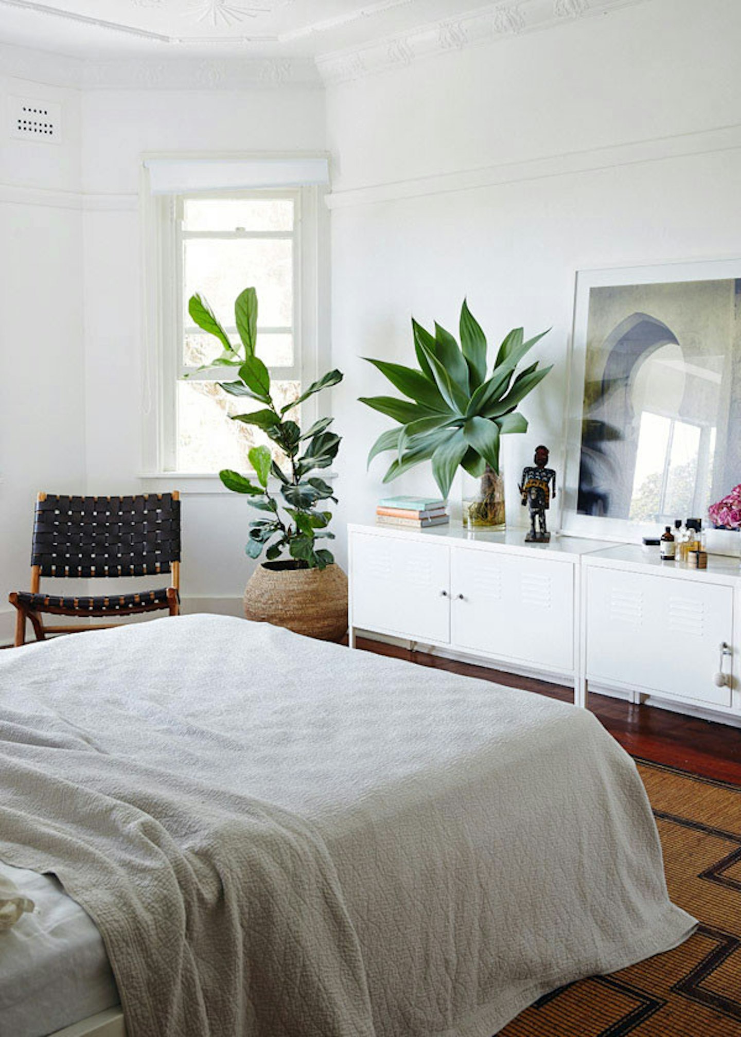 plants-cheapfurniture