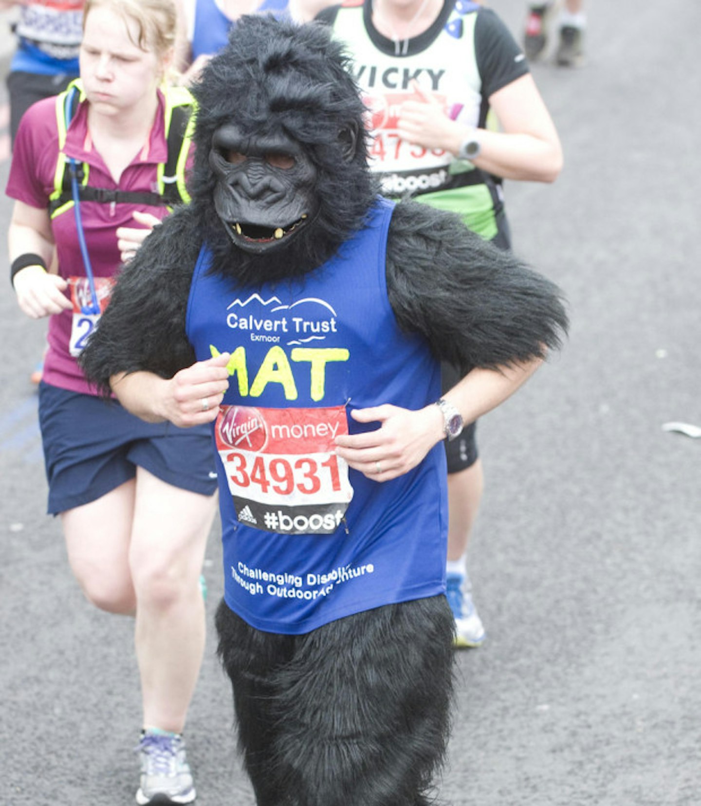 Gorilla