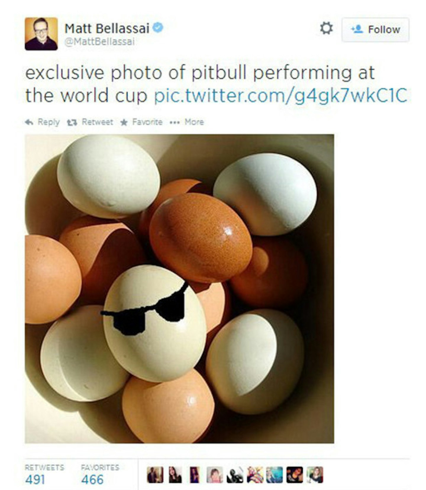 pitbull2