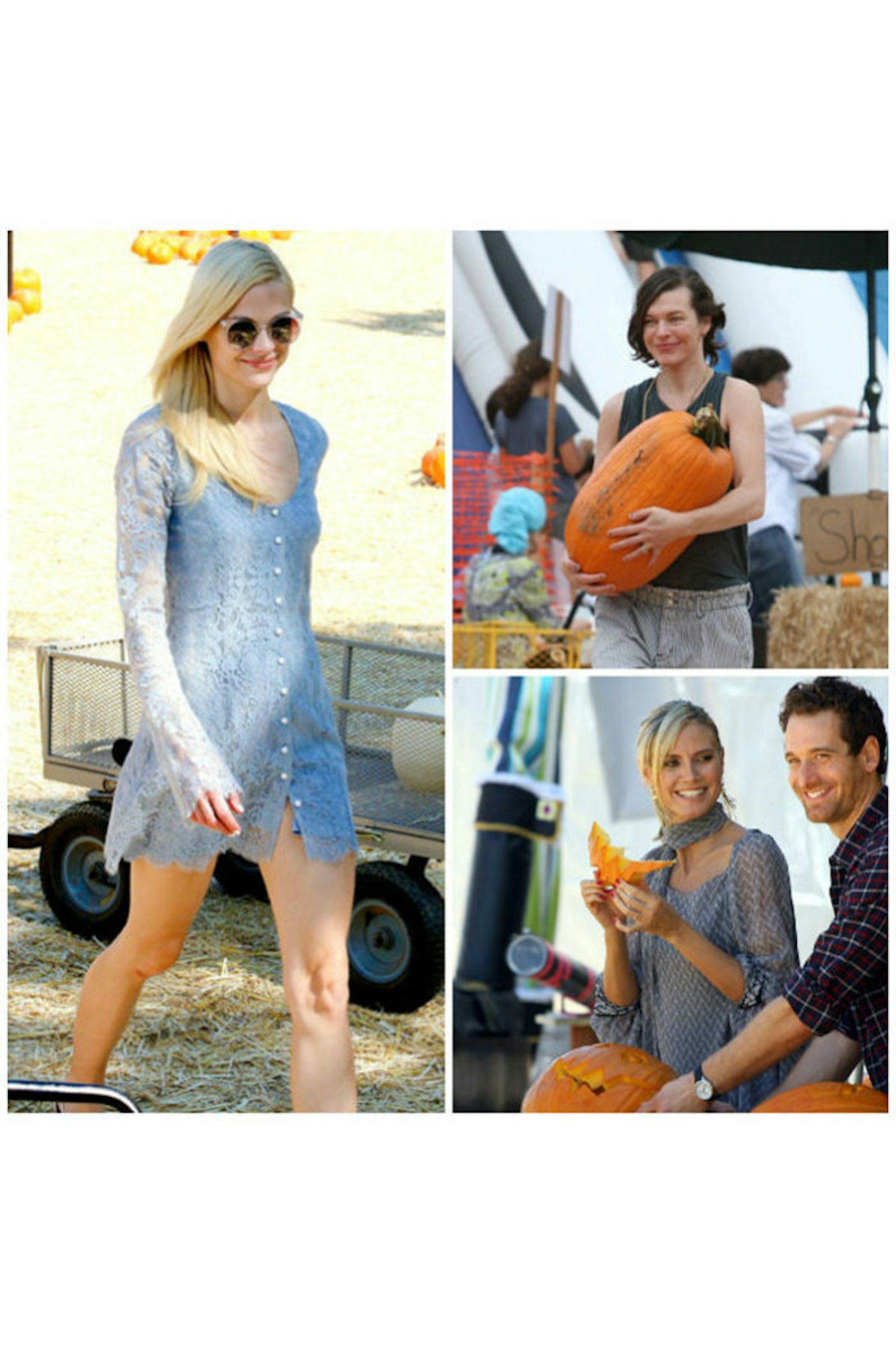 GALLERY>> Stars At The Pumpkin Patch