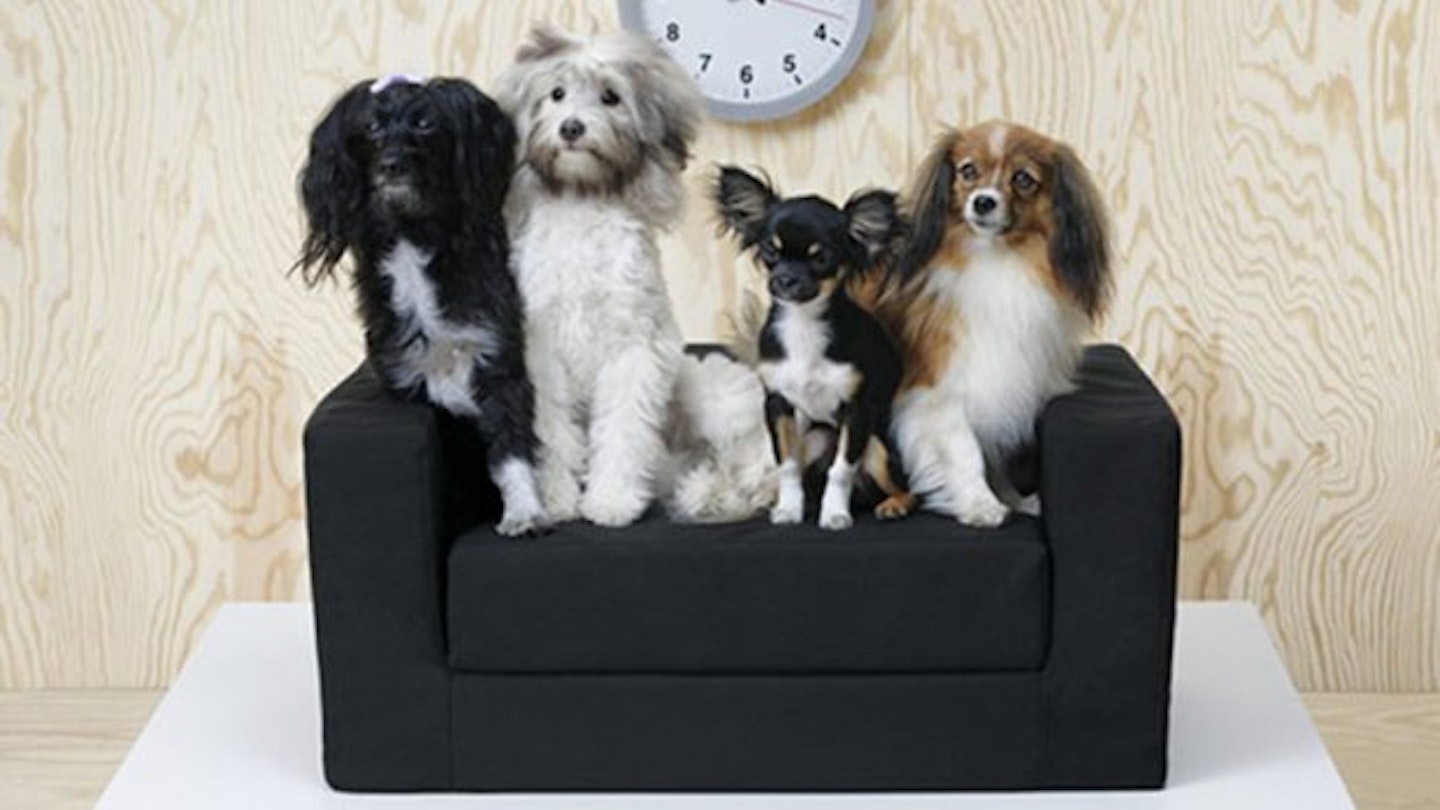 You Can Now Buy Ikea Furniture For Your Pet
