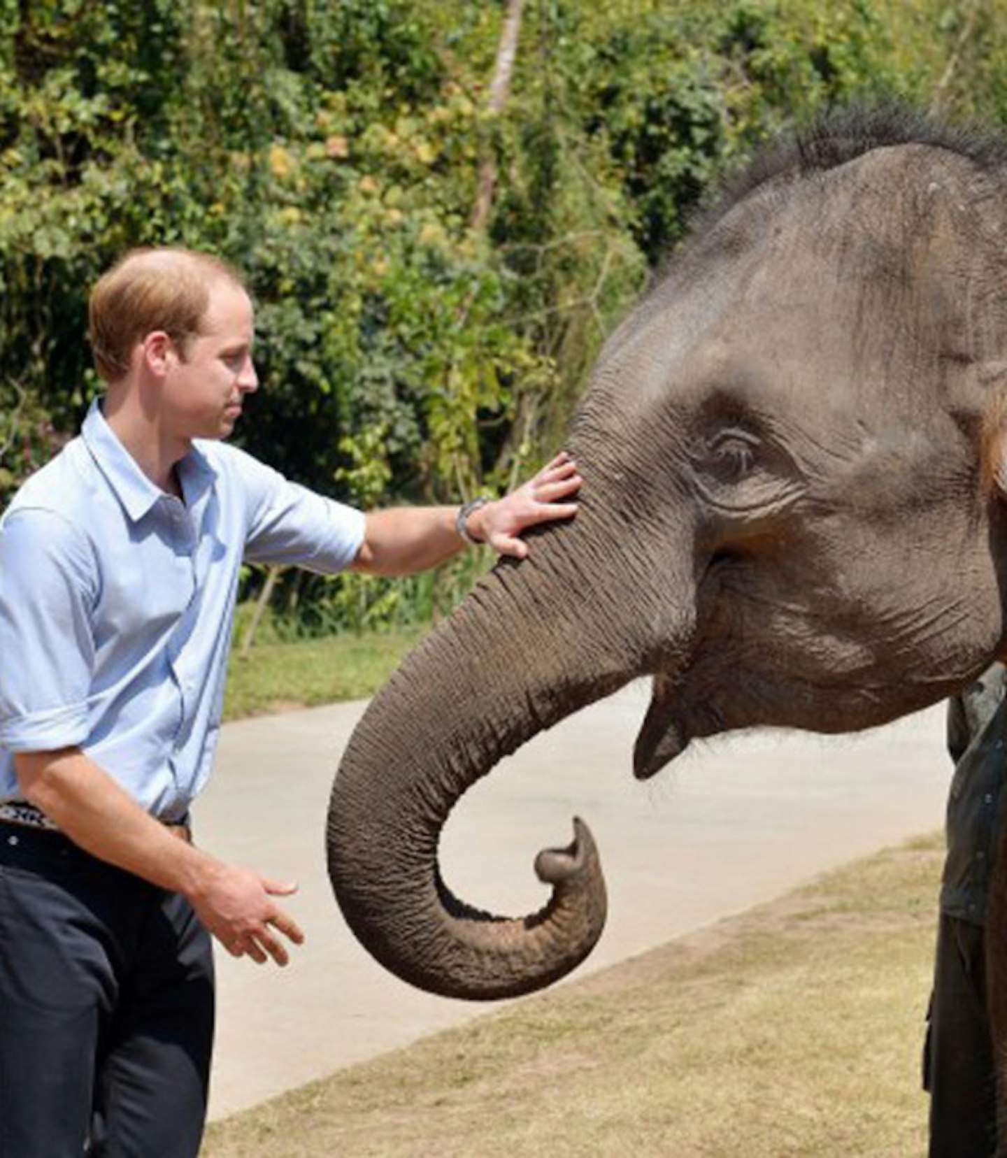 Prince-William-elephant4