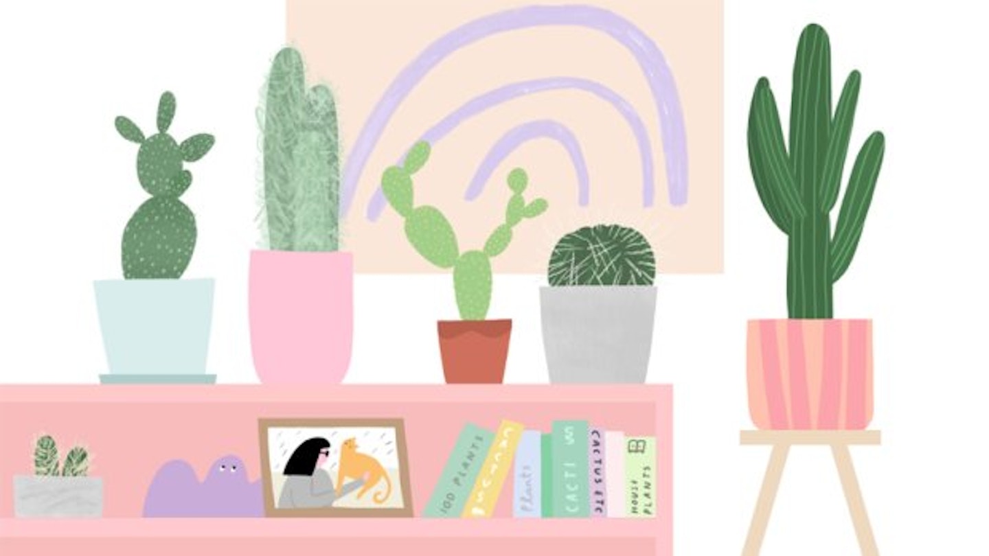 Houseplant Hacks: Everything You Need To Know About Your Cactus