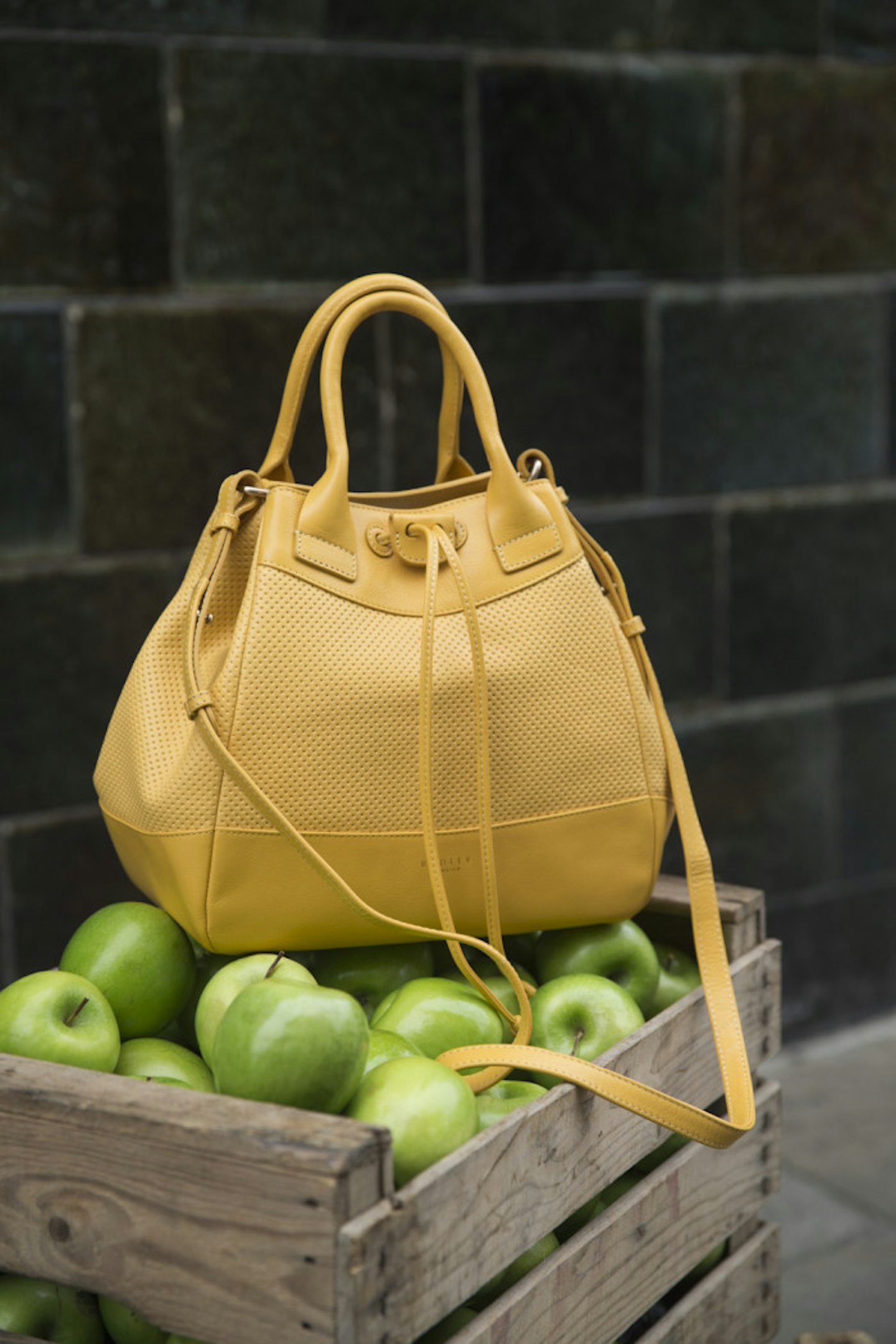 Holland Park from the new Radley collection SS15.