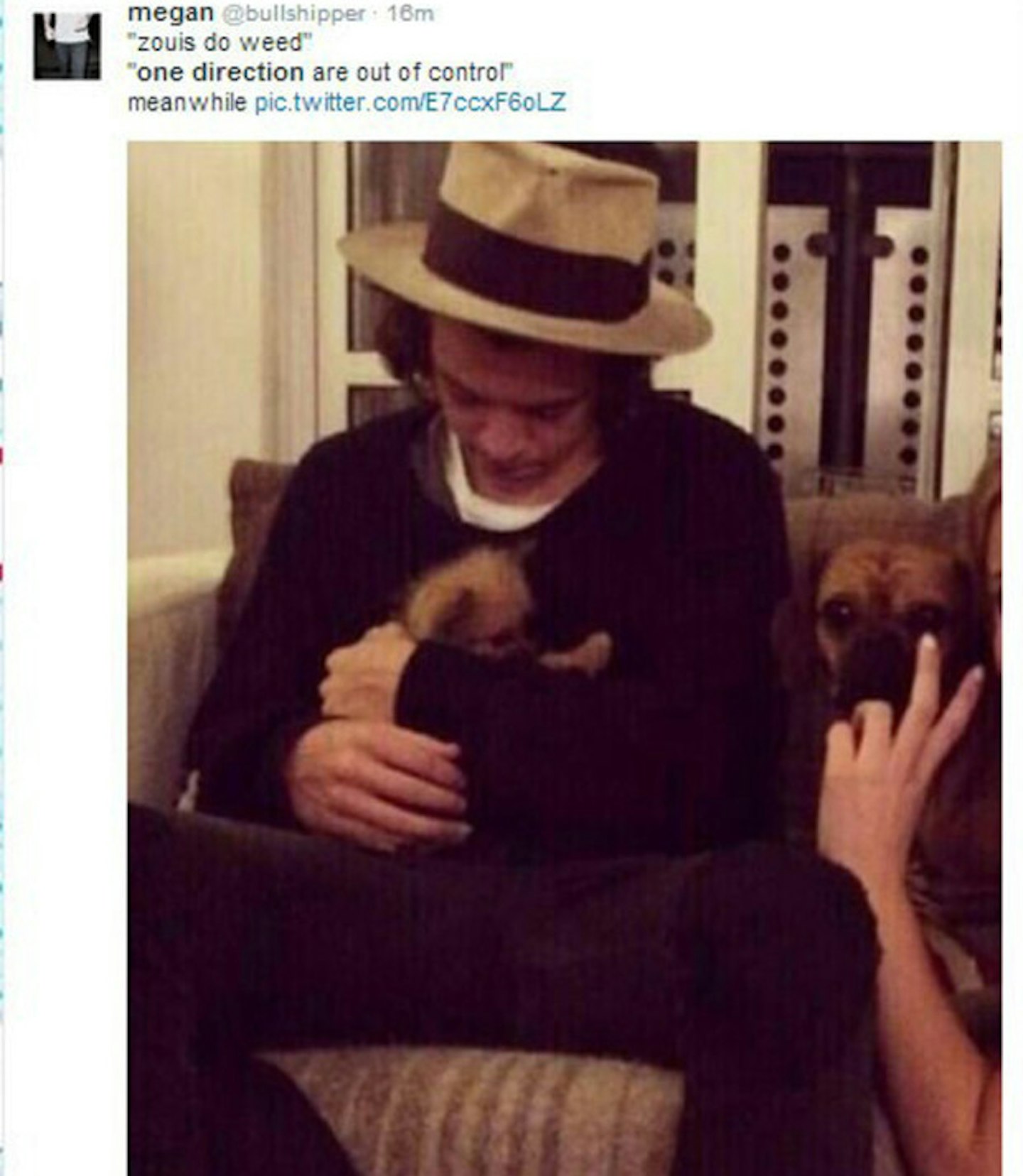 tweet 1 1d