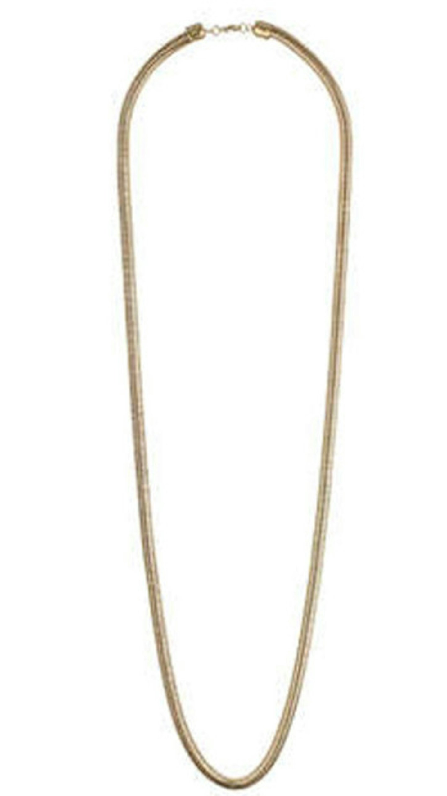 Long Snake Chain Necklace £14.50 Topshop