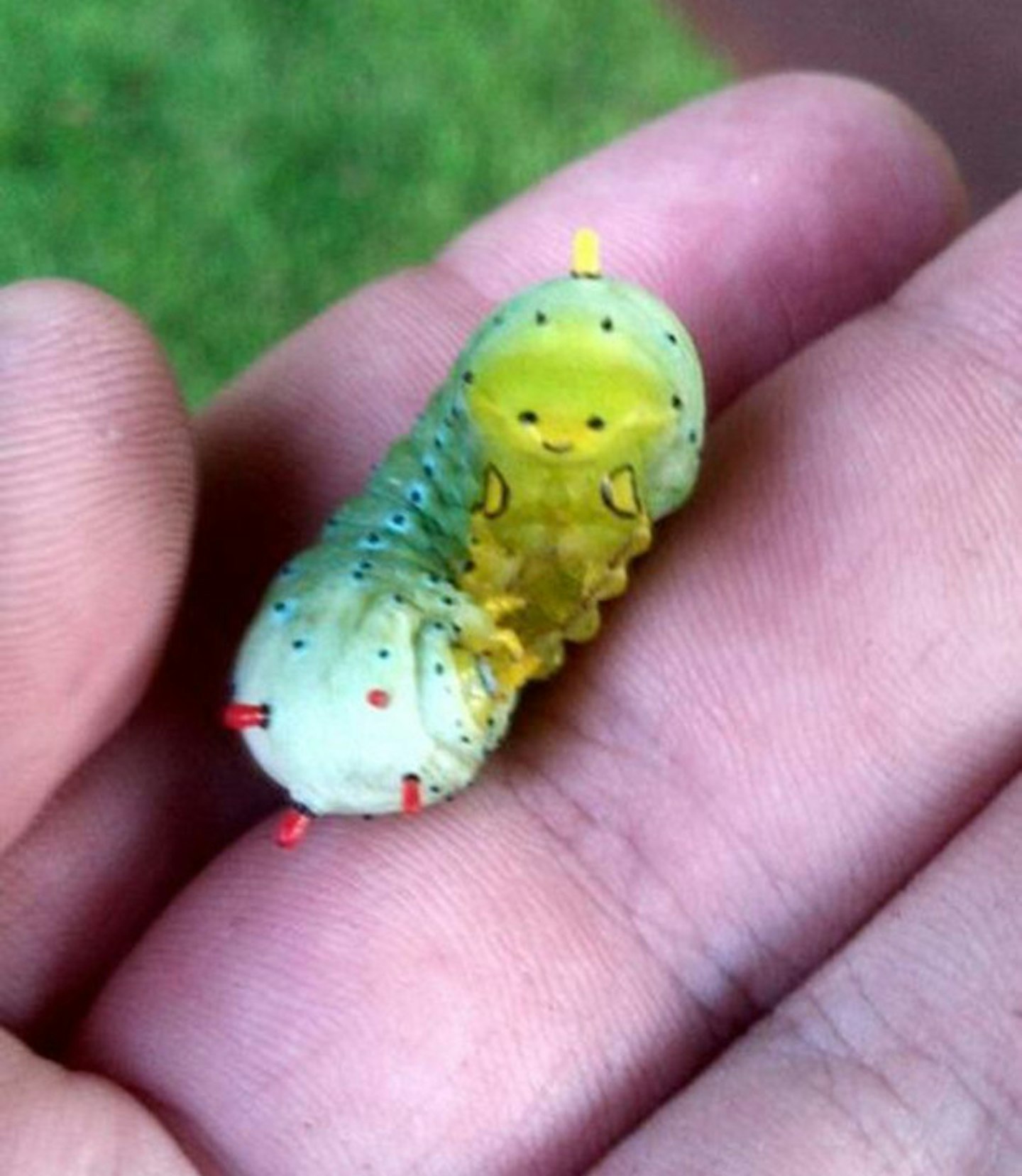 Happy caterpillar