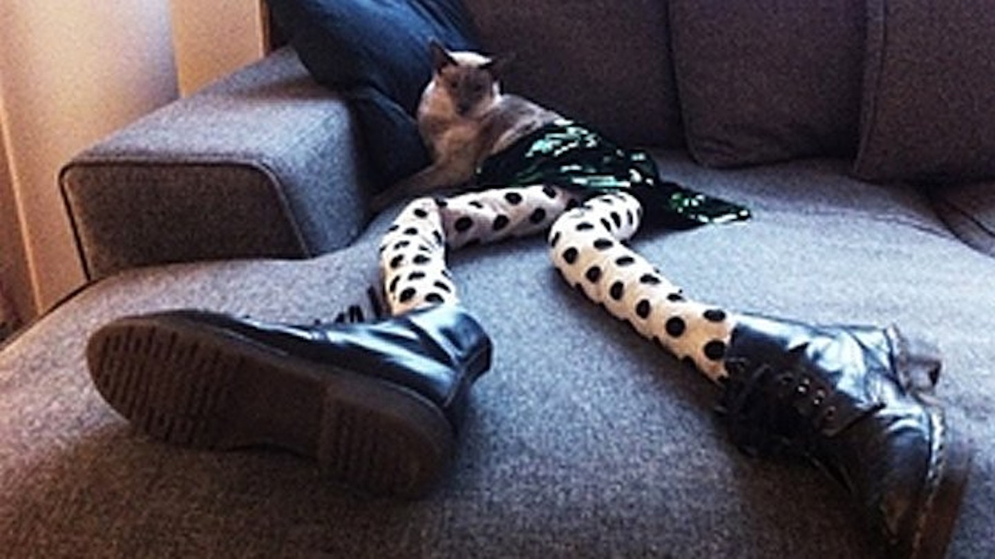 Gucci the cat … wearing tights