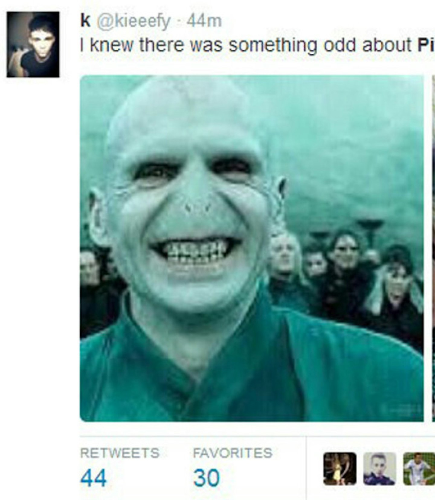 pitbull1