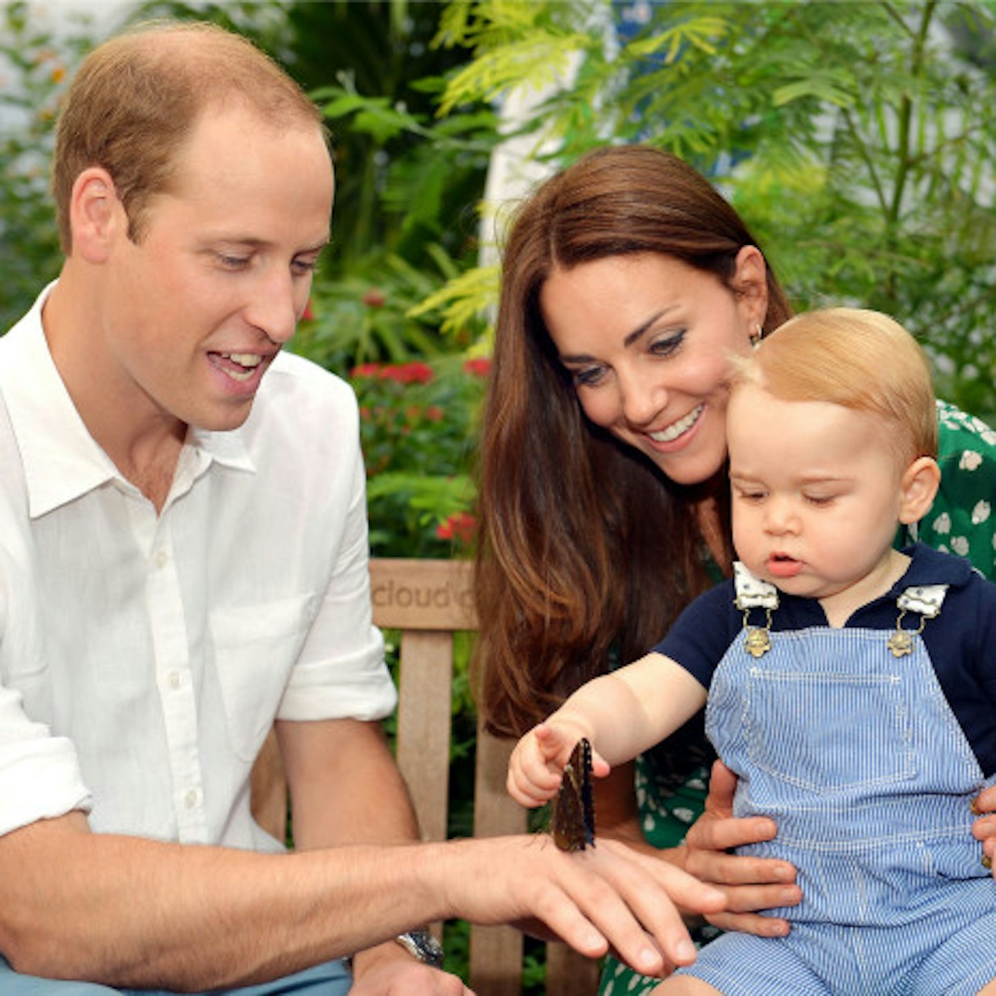 Prince WIlliam, Catherine and Geroge look enchanted by the Natural History Museum's new exhibit, don't they?