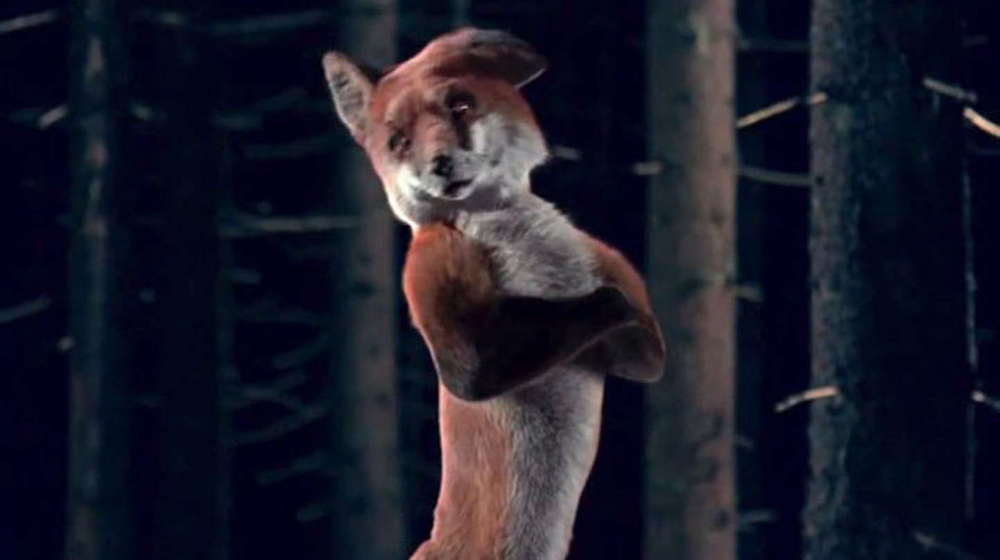 what-does-the-fox-say-8