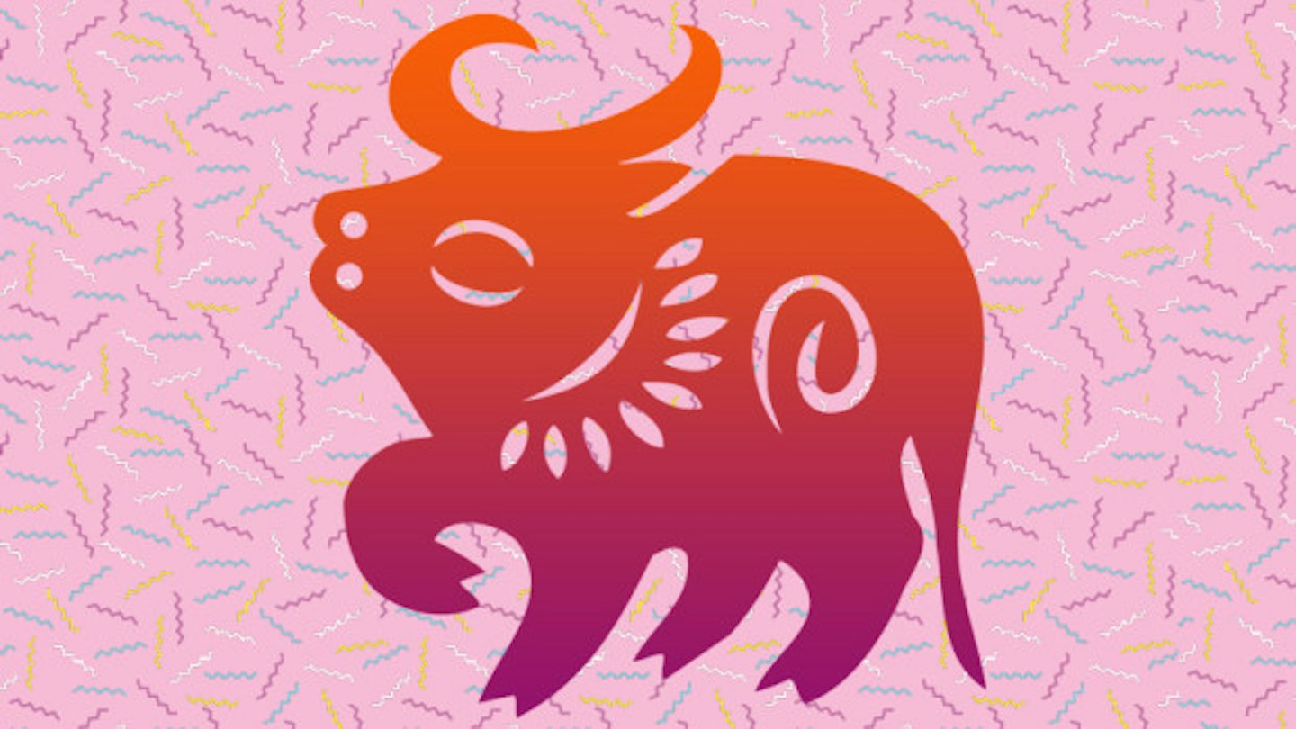 Ox Born 2016 Chinese Horoscope : For Those Who Were Born in the Year of the Ox