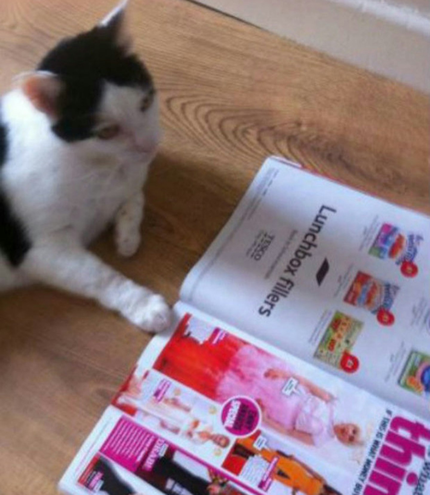 Cooper was reading this week's heat and couldn't BELIEVE what Katherine Heigl was wearing!