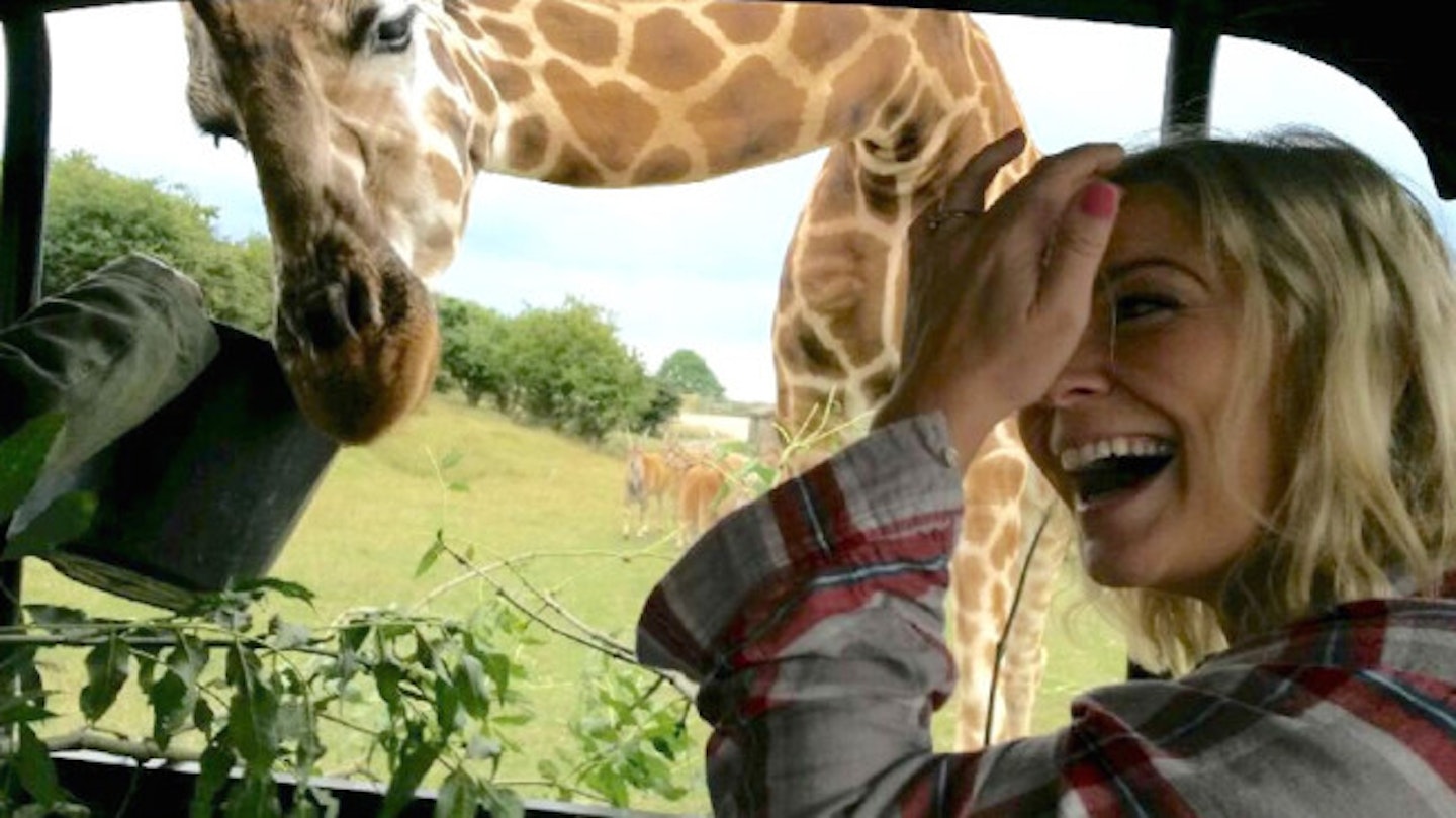 Suzanne made a giraffe friend!