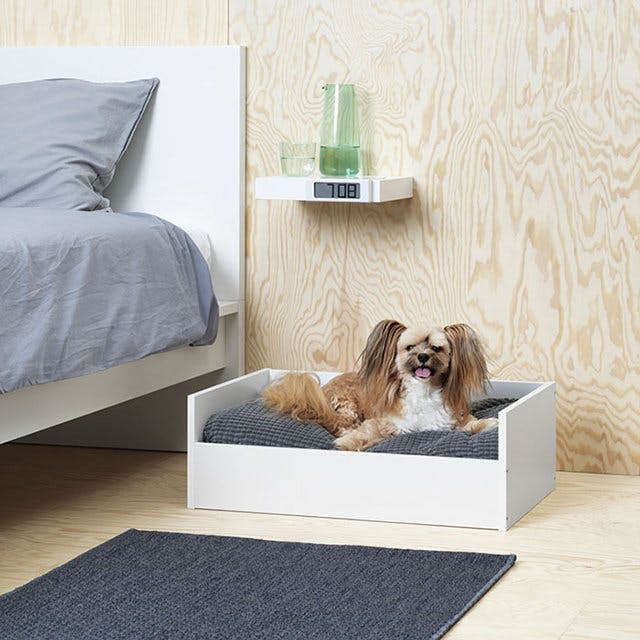 You Can Now Buy Ikea Furniture For Your Pet