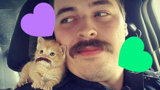 This Cop Rescued A Stranded Kitten And Now Everyone Wants To Marry Him