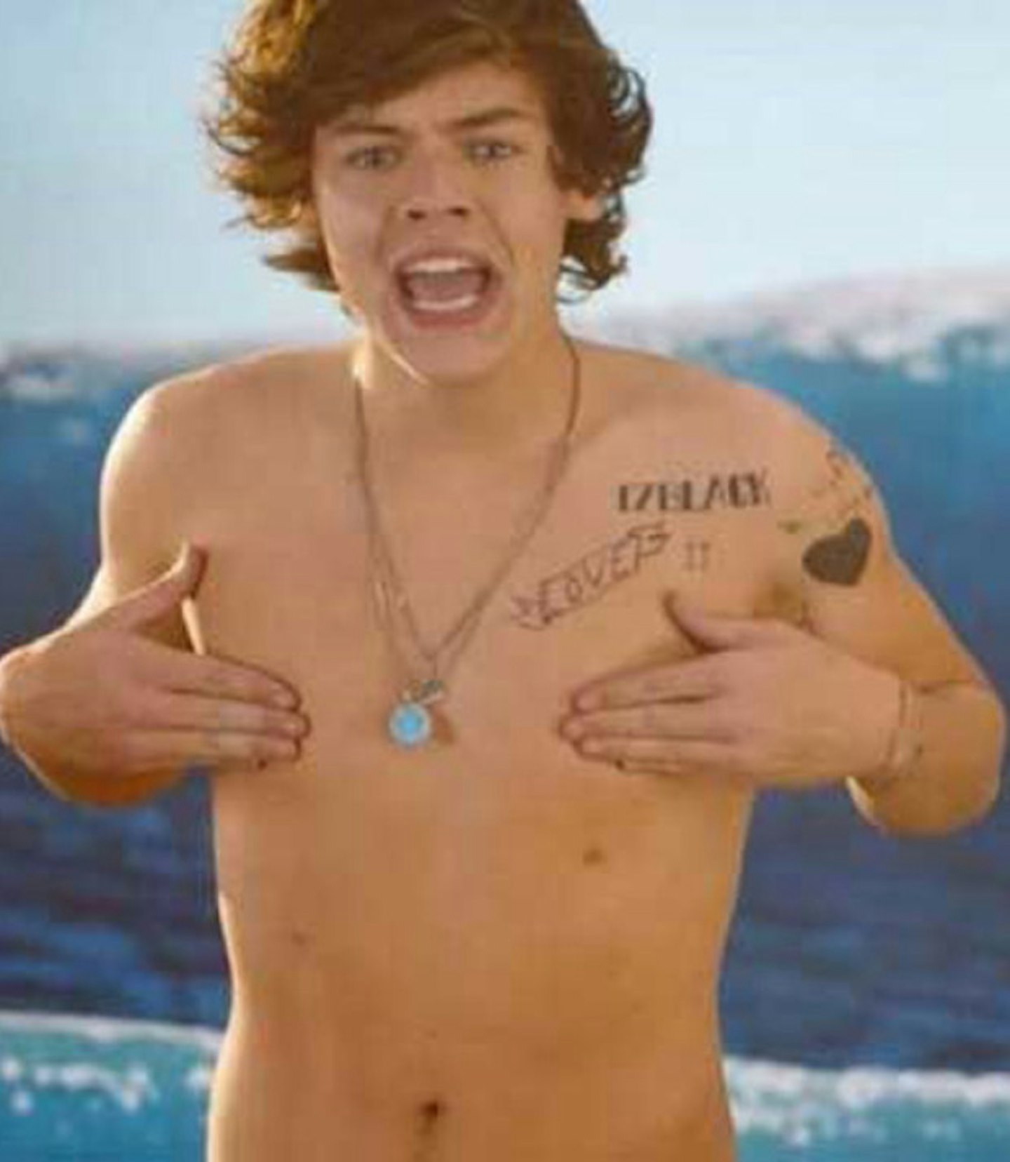 Harry Styles' fourth nipple as celebs like Lily Allen celebrate