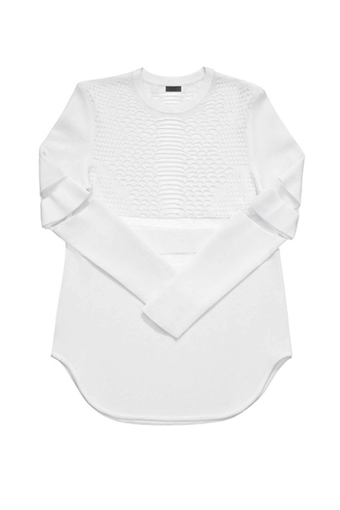 Long sleeved white mesh top £79.99 by Alexander Wang x H&M