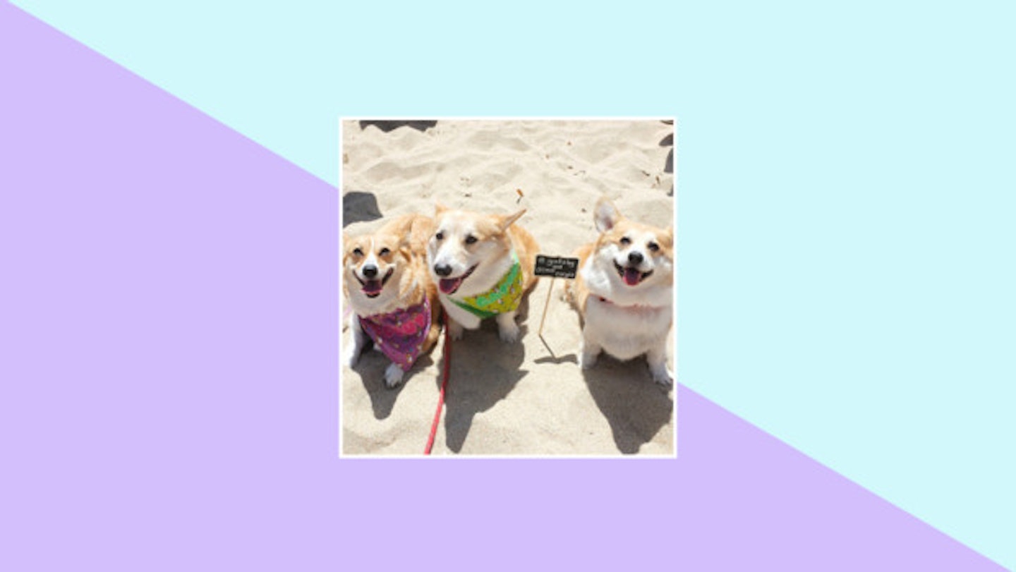 These guys who know what's up with this year's beach fashion looks.