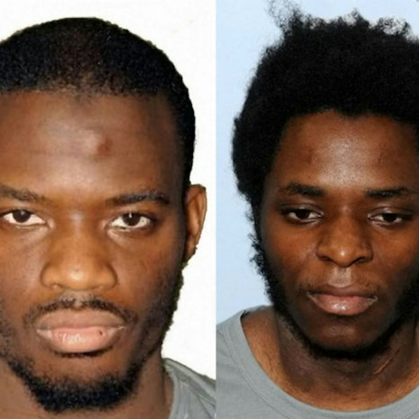 Adebolajo (left) was given life and Adebowale (right) must serve a minimum of 45 years