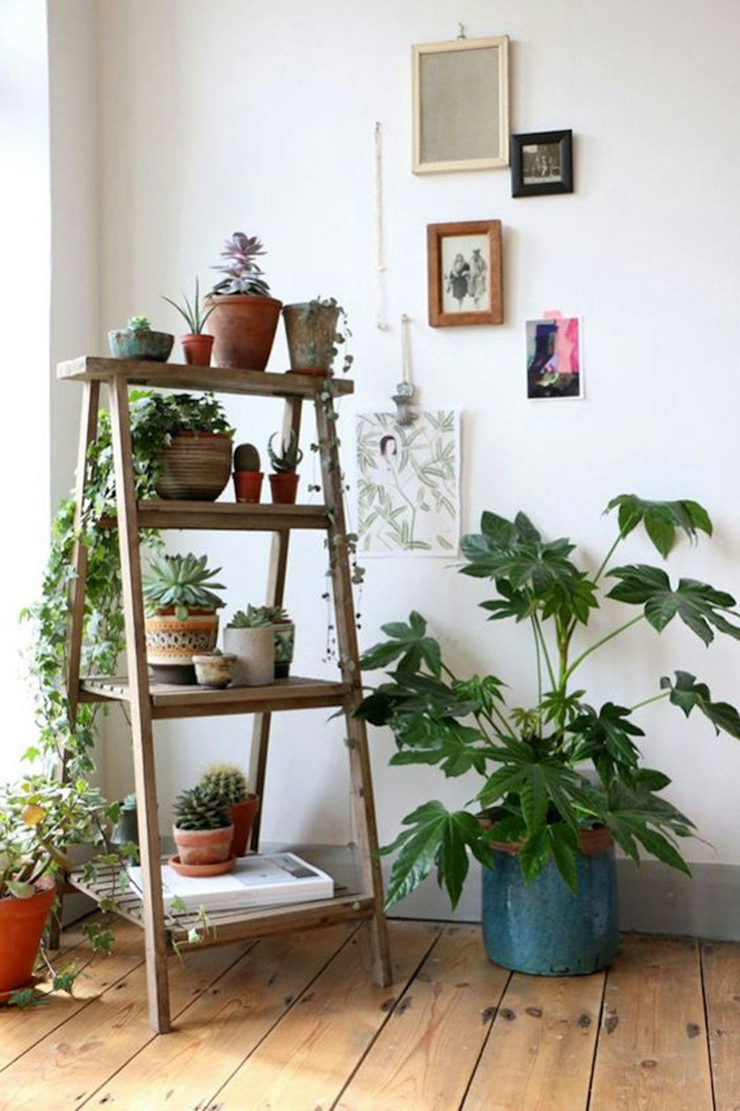 ladder shelf