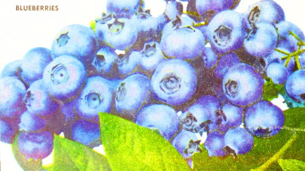 Turns Out These 'Superfoods' Aren't Actually Superfoods