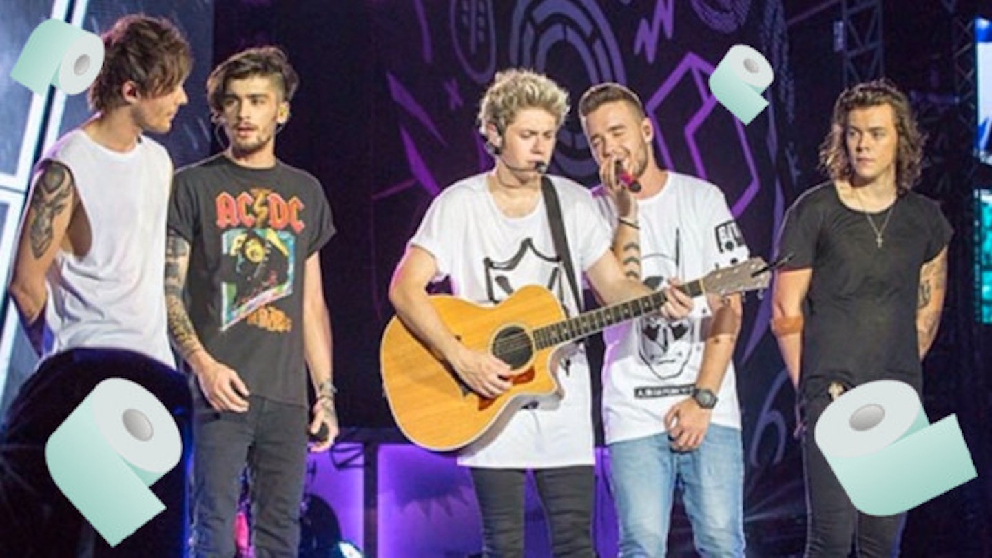 What's On The One Direction Rider? ‘Soft Toilet Paper’ And Some Other Very Funny Things