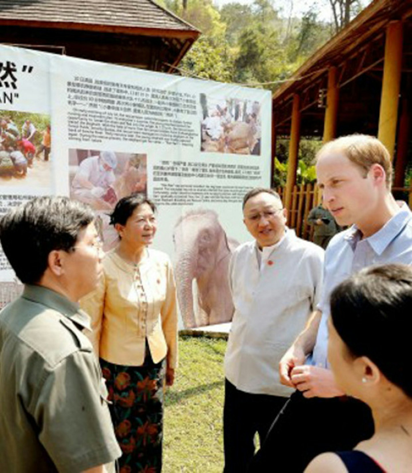 Prince-William-elephant6